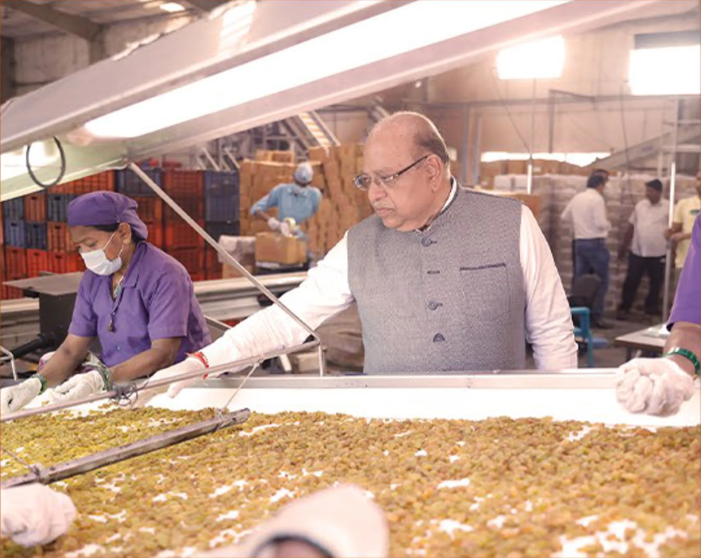 Raisins Exporter from india